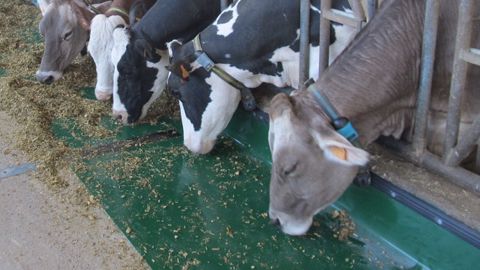 Sani-Feed Auge Alimentation (©Bioret) Sani-Feed Auge Alimentation (©Bioret)