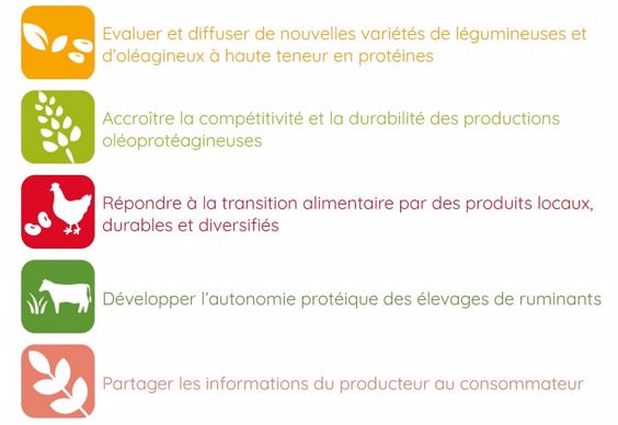 Projets
