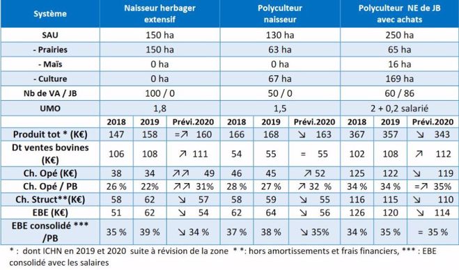 Résultats économiques 2020 des élevages bovin viande du Grand Est