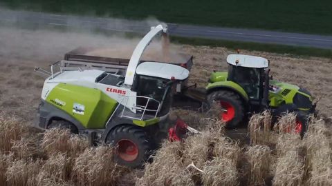 Un chantier d'ensilage de miscanthus dans l'Allier Un chantier d'ensilage de miscanthus dans l'Allier