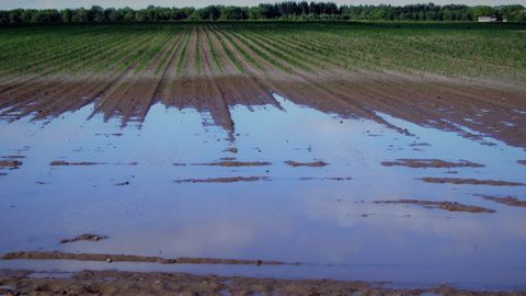 Devant la fréquence et l'intensité croissantes des aléas climatiques, Groupama en appelle à une réforme du système de gestion de risques qui s'appuierait sur le rapport Descrozaille. (©Pixabay) Devant la fréquence et l'intensité croissantes des aléas climatiques, Groupama en appelle à une réforme du système de gestion de risques qui s'appuierait sur le rapport Descrozaille. (©Pixabay)