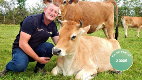 Arnaud Torchy élève des Jersiaises pour la qualité de leur lait, leur comportement affectueux, leur petit gabarit et leur facilité de vêlage. (©Arnaud Torchy) Arnaud Torchy élève des Jersiaises pour la qualité de leur lait, leur comportement affectueux, leur petit gabarit et leur facilité de vêlage. (©Arnaud Torchy)