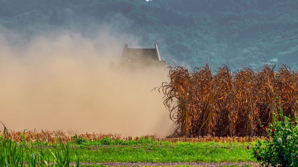 Au Brésil, la production de maïs, qui arrive souvent en deuxième culture après le soja, risque d'être impactée par un mois d'avril sans précipitations. (©Pixabay)