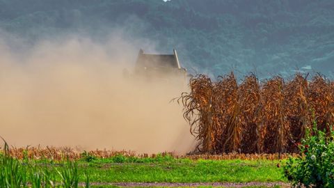 Au Brésil, la production de maïs, qui arrive souvent en deuxième culture après le soja, risque d'être impactée par un mois d'avril sans précipitations. (©Pixabay) Au Brésil, la production de maïs, qui arrive souvent en deuxième culture après le soja, risque d'être impactée par un mois d'avril sans précipitations. (©Pixabay)