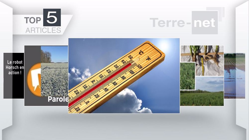 Top articles de Terre-net cette semaine. (©Terre-net Média)