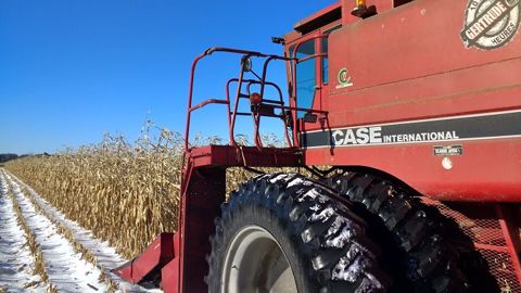 La Chine vient de passer commande auprès des Etats-Unis de pas moins de 1,36 millions de tonnes de maïs nouvelle récolte livrable en 2021 et 2022. (©Terre-net Média) La Chine vient de passer commande auprès des Etats-Unis de pas moins de 1,36 millions de tonnes de maïs nouvelle récolte livrable en 2021 et 2022. (©Terre-net Média)