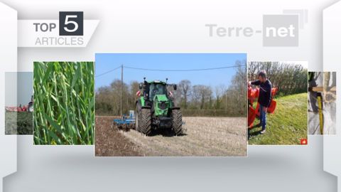 Articles les plus lus sur Terre-net cette semaine. (©Terre-net Média) Articles les plus lus sur Terre-net cette semaine. (©Terre-net Média)