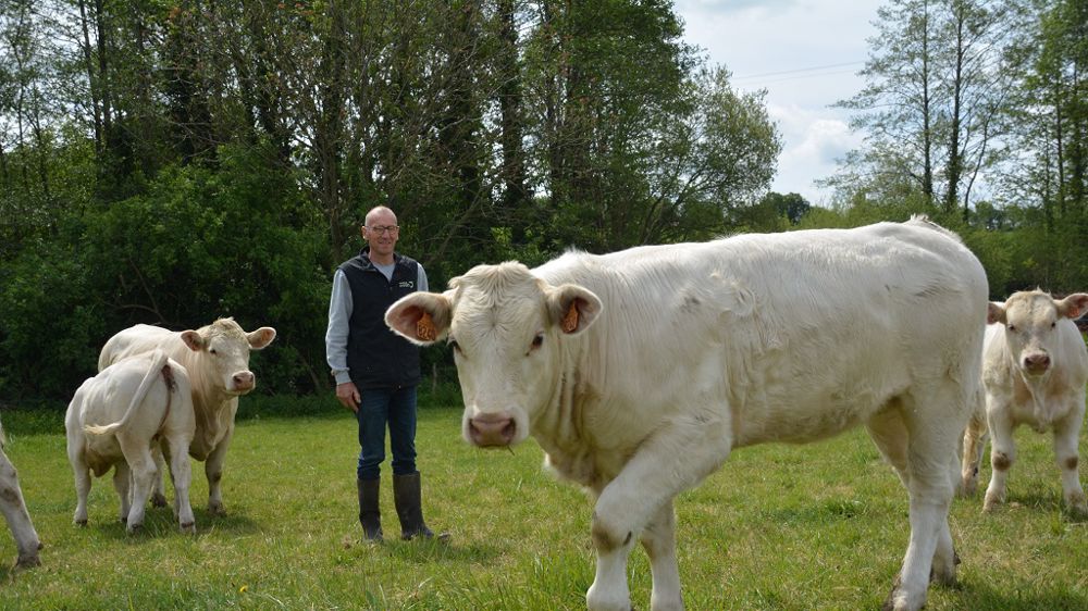 Antoine Charrier : « Romania, c’est la meilleure femelle de mon troupeau, je l’ai obtenue grâce au génotypage de la mère, qui m’a permis, en connaissant ses caractères génétiques, de choisir le meilleur taureau »