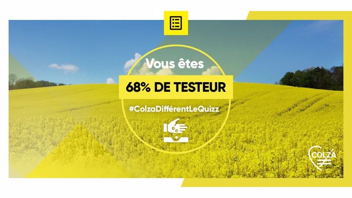 Profil testeur