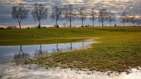 Trop de pluie et pas assez de soleil, les agriculteurs ne sont pas gâtés