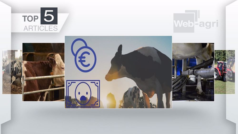 Top articles de Web-agri cette semaine. (©Terre-net Média)