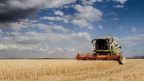 Retrouvez les premières estimations d'Agreste pour les rendements en orge d'hiver et en colza pour la moisson 2021, département par département. (©Pixabay) Retrouvez les premières estimations d'Agreste pour les rendements en orge d'hiver et en colza pour la moisson 2021, département par département. (©Pixabay)