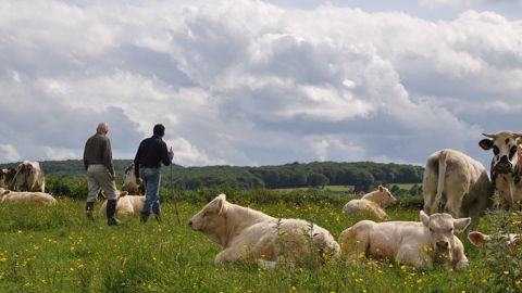 63 % des consommateurs se disent prêts à payer davantage pour le bien-être animal (©Terre-net Media)
