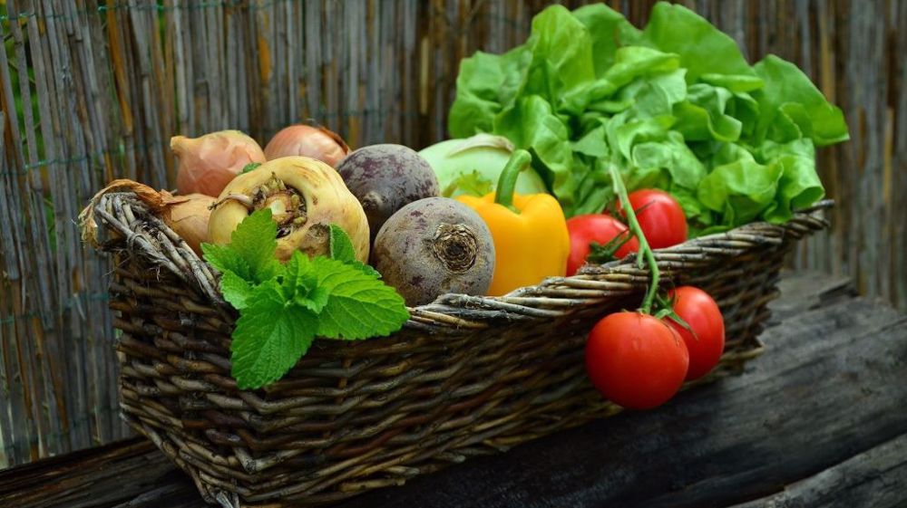 Face à la grogne des producteurs bio, le ministère rappelle son engagement en faveur de l'agriculture biologique. (©Pixabay)