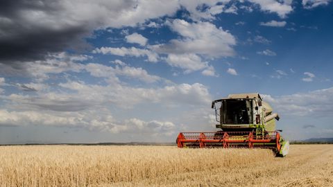 Partagez et comparez vos rendements avec ceux de vos confrères agriculteurs, grâce à <a href="https://moisson-live.com/" title="Moisson Live" target="_blank">Moisson Live</a>.(©Pixabay) Partagez et comparez vos rendements avec ceux de vos confrères agriculteurs, grâce à <a href="https://moisson-live.com/" title="Moisson Live" target="_blank">Moisson Live</a>.(©Pixabay)