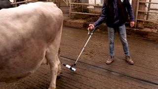 Vaporiser un traitement à distance pour éviter les coups de pied Vaporiser un traitement à distance pour éviter les coups de pied