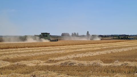 La moisson 2021 est lancée ! Et chez vous, n'hésitez pas à partager ce qui se passe dans votre secteur dans les commentaires en-dessous de l'article. (©Gérard Vergnaud/Facebook) La moisson 2021 est lancée ! Et chez vous, n'hésitez pas à partager ce qui se passe dans votre secteur dans les commentaires en-dessous de l'article. (©Gérard Vergnaud/Facebook)