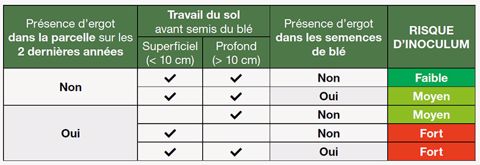 Risque d’inoculum d’ergot selon l’historique parcellaire, le travail du sol et la présence d’ergot dans les semences