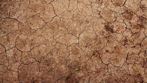 Les météorologues ont revu à la baisse leurs prévisions de précipitations sur les sols agricoles étasuniens. (©Pixabay)