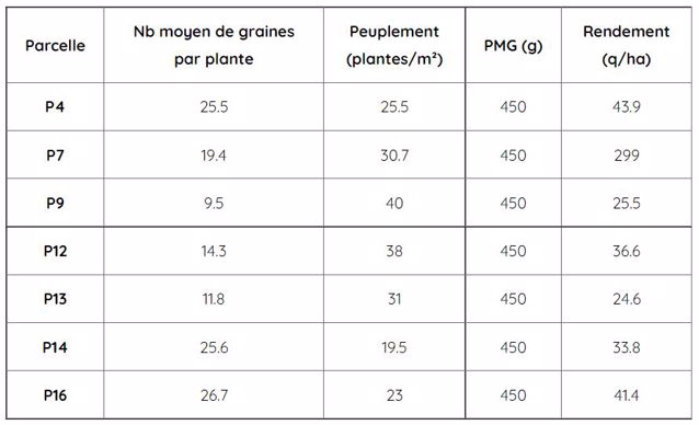 Hypothèse de rendement féverole d'hiver