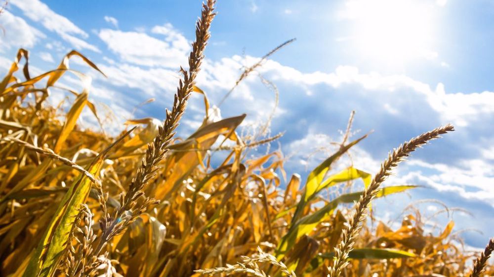 Beau mois d'août et chaud en septembre. (©Pixabay)