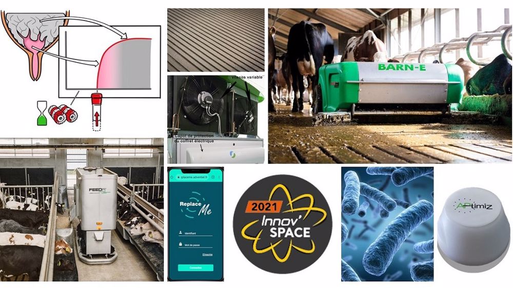 Voici un aperçu des innovations en élevage primées par le concours Innov'Space 2021. Pour toutes les découvrir, cliquez sur les liens dans la liste des lauréats ci-dessous. (©Innov'Space/Terre-net Média) Voici un aperçu des innovations en élevage primées par le concours Innov'Space 2021. Pour toutes les découvrir, cliquez sur les liens dans la liste des lauréats ci-dessous. (©Innov'Space/Terre-net Média)