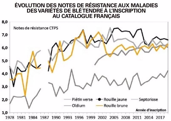 Évolution des notes de résistance aux maladies des variétés de blé tendre à l'inscription au catalogue français