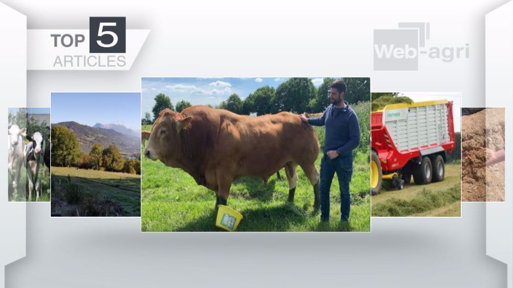  Les articles dans le Top 5 sur Web-agri cette semaine. (©Terre-net Média)