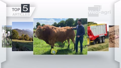  Les articles dans le Top 5 sur Web-agri cette semaine. (©Terre-net Média)
