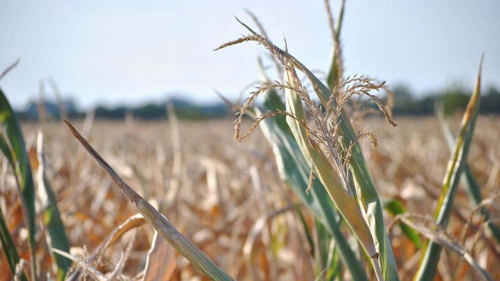 Météo France prévoit un scénario plus chaud et plus sec que la normale. (©Pixabay)