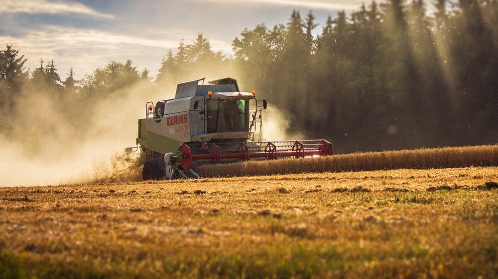 La qualité du blé 2021 devrait être satisfaisante au regard des premières estimations de récolte. (©CC)