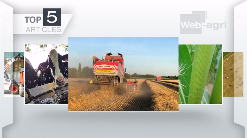  Les articles au Top sur Web-agri cette semaine. (©Terre-net Média)