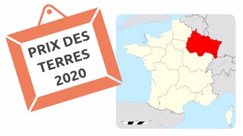 À 6 450 € l'hectare libre, le prix moyen des terres est en baisse dans le Grand-Est mais il reste au-dessus de la moyenne nationale en 2020. (©Terre-net Média) À 6 450 € l'hectare libre, le prix moyen des terres est en baisse dans le Grand-Est mais il reste au-dessus de la moyenne nationale en 2020. (©Terre-net Média)