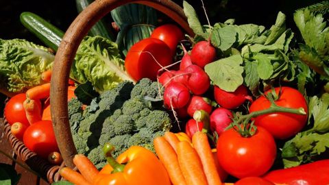 Les 27 se mettent d'accord sur un objectif à 25 % d'agriculture bio d'ici 2030 (©Pixabay)