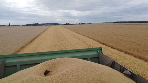 Entre déception et résilience, les agriculteurs nous partagent leur quotidien