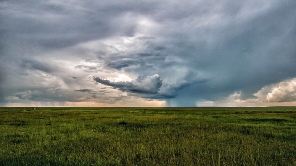 Les pluies retardent sensiblement les récoltes françaises. (©PixaBay)