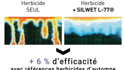 Sécuriser son rendement céréales avec un désherbage d'automne efficace !