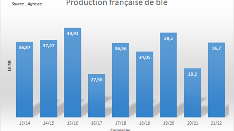 Estimation de la récolte française de blé.