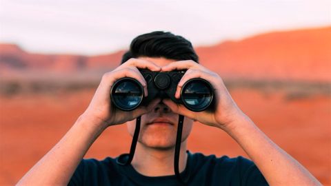 À l'occasion du Pro Farmer Tour, une centaine d'équipiers inspectent l'état des cultures de maïs(©Pixabay)
