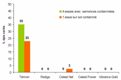 Efficacité de traitements de semences fongicides conventionnels vis-à-vis de la carie, contamination par les semences ou par le sol (2018, ARVALIS)