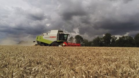 Et chez vous ? Quel bilan de cette moisson 2021 ? N'hésitez pas à laisser votre témoignage dans les commentaires en dessous de l'article. (©<a href="https://twitter.com/benj_thi" target="_blank">@benj-thi/Twitter</a>) Et chez vous ? Quel bilan de cette moisson 2021 ? N'hésitez pas à laisser votre témoignage dans les commentaires en dessous de l'article. (©<a href="https://twitter.com/benj_thi" target="_blank">@benj-thi/Twitter</a>)