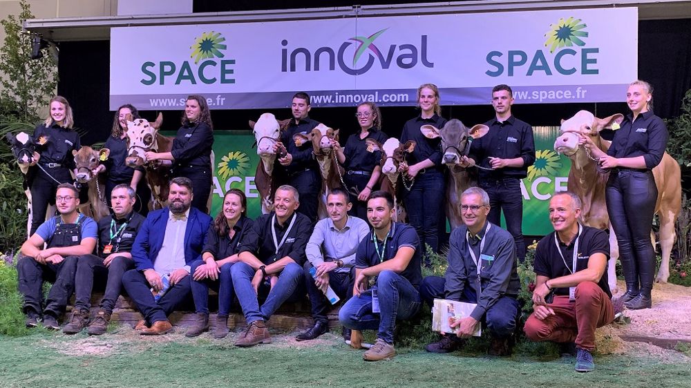 La vente Genomic Elite du Space s'est déroulée ce mercredi 15 septembre sur le ring mais sous un format quelque peu différent avec des enchères 100 % en ligne.  (©Terre-net Média)