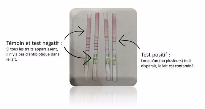 Test antibiotique dans le lait Unisensor