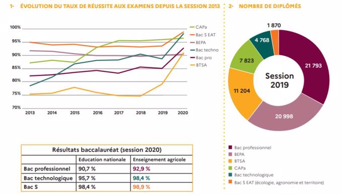 taux de reussite aux examens agricoles 2019