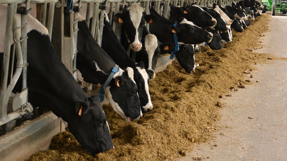 Quels gains attendre des outils de monitoring en élevage laitier ? (©Terre-net Média)