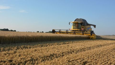 Les pluie incessantes ont perturbé la moisson 2021, et la qualité des blés s'en ressent. (©Terre-net-media)