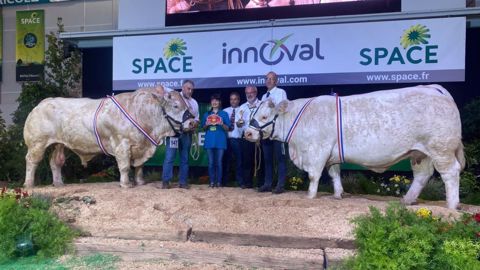 Imperatric et Lascar sacrés aux concours Charolais Imperatric et Lascar sacrés aux concours Charolais