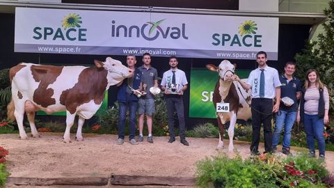 Mandarine sacrée grande championne au concours Montbéliarde Mandarine sacrée grande championne au concours Montbéliarde
