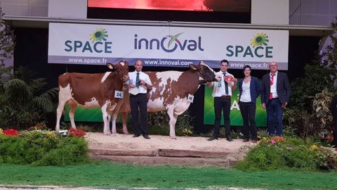 Izisa remporte le concours Pie Rouge Izisa remporte le concours Pie Rouge