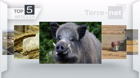 Articles les plus lus sur Terre-net cette semaine. (©Terre-net Média)